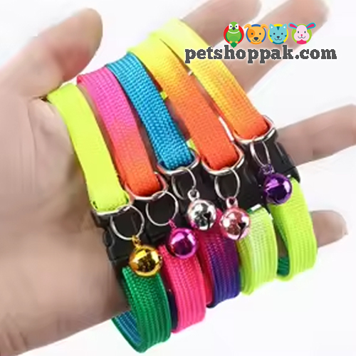 Rainbow cat collar with Bell