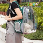 pet carrier plain bag for cats