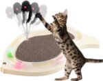 Cat Scratcher Fish with Balls Track Toy