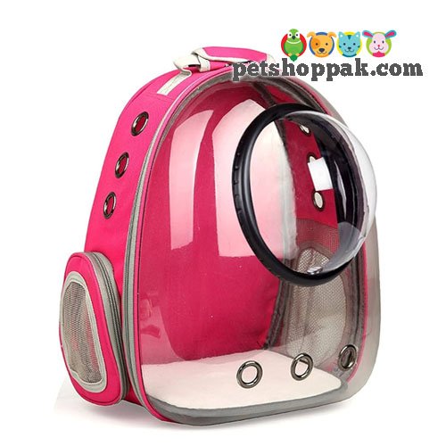 Pet Carrier Bags and Jet Boxes—Top Features and Uses 3 Pet carrier bag space capsule
