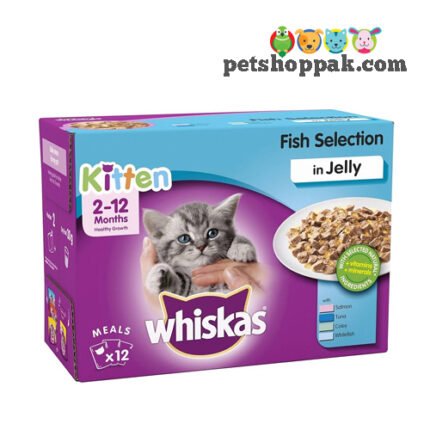 Whiskas Fish in Jelly Kitten