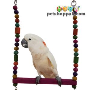 parrot toys common swing xxl 1 - Pet Shop Pak
