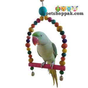 parrot toys d swing large - Pet Shop Pak