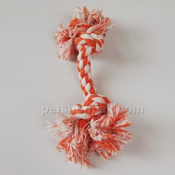 115829682 600342044240841 2020104120141735495 n