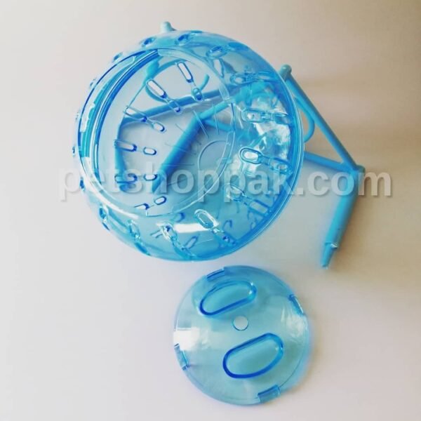 86728924 681094799095346 4901879568295526400 n