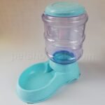 87591320 3347643351918520 7167073795839098880 n