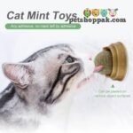 Catnip Wall Ball Cat Toys Rollerball 2
