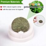 Catnip Wall Ball Cat Toys Rollerball