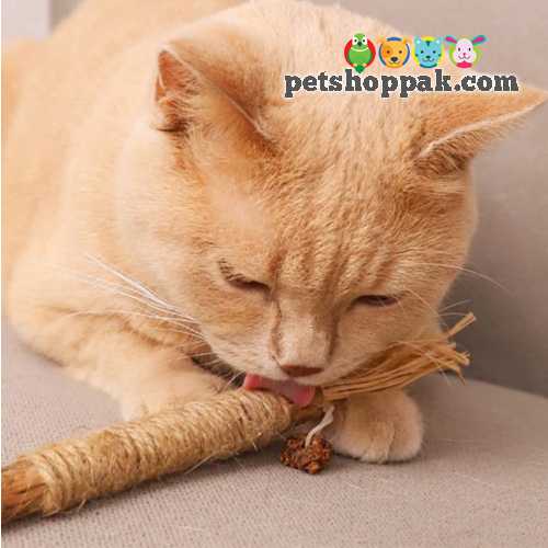 Catnip Stick Raffia Grass Toy Cat toy for Teeth