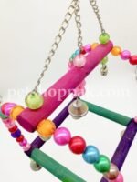 Parrot toy Doli swing