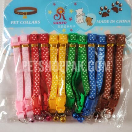 IMG 20211029 123426 01 scaled 1