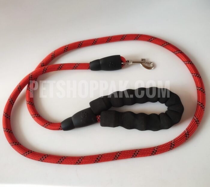 IMG 20211120 094758 01 scaled 1