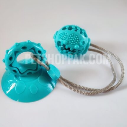 IMG 20220424 111250 01 scaled 1