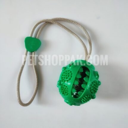 IMG 20220426 094256 01 scaled 1