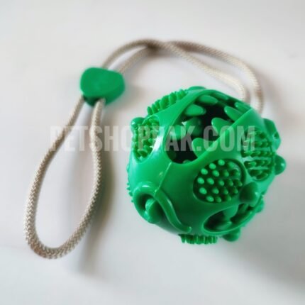 IMG 20220426 094306 01 scaled 1