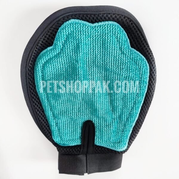 IMG 20221004 122324 01 scaled 1