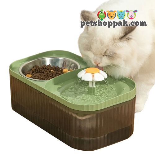 Pet Water Fountain with food bowl1