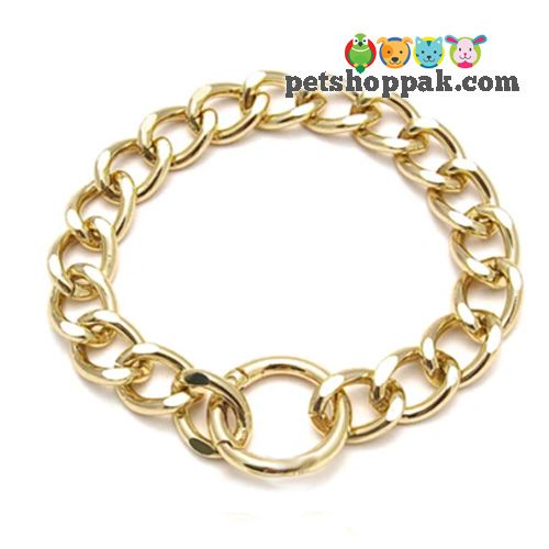 cat collar golden chain