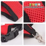 Cat dog chester breatherable fabric 2