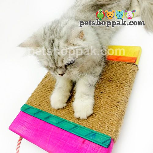 cat scratching pad 1