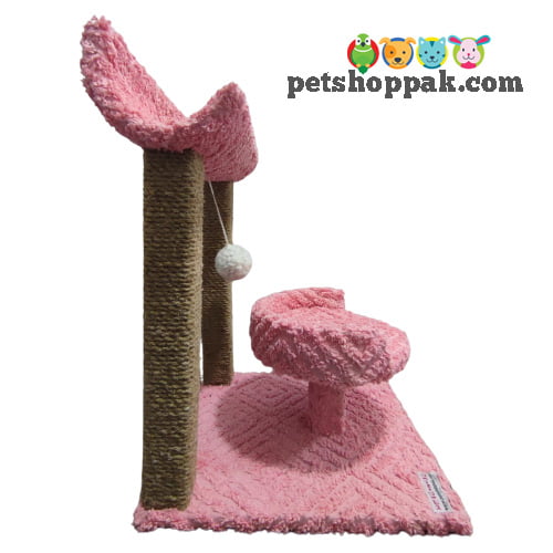 cat scratching post curve and bed