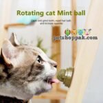 catnip rolling wall ball