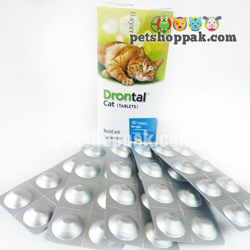 drontal cat deworming tablet 1