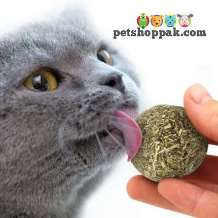 natural catnip ball