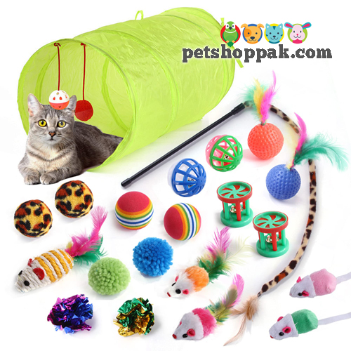 pack of 21 kitten cat toys
