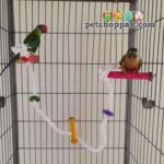 parrot cage 3 perch rope hanging