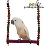 parrot toys common swing xxl 1