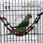 parrot toys curve ladder large 1