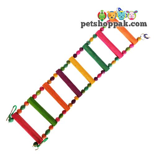 parrot toys curve ladder large