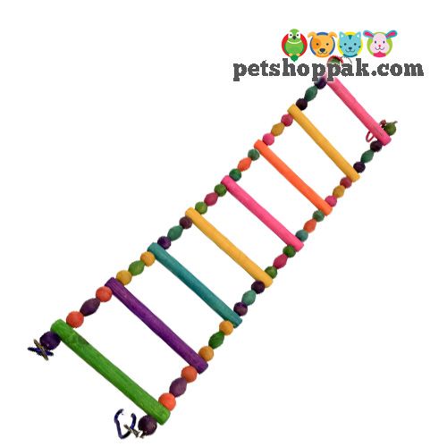 parrot toys curve ladder small