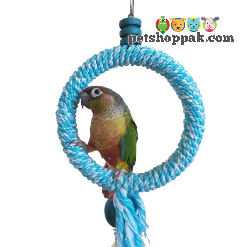 parrot toys ring small