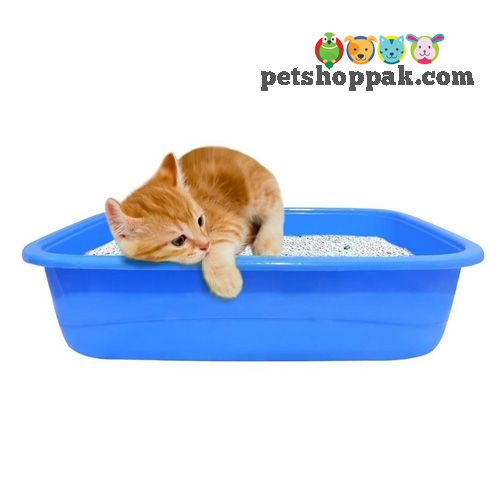 paw comfort cat litter tray small