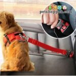 pet car seat belt