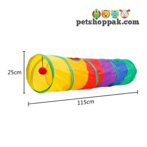 rainbow cat playing tunnel toy