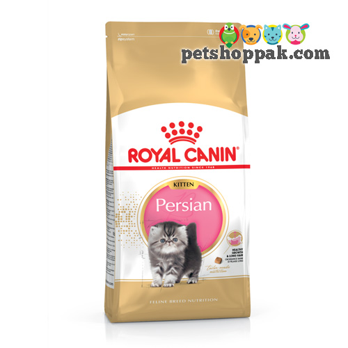 Royal Canin Persian Kitten