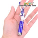 Laser Light Toy for Cats