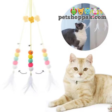 Interactive Hanging Cat toy