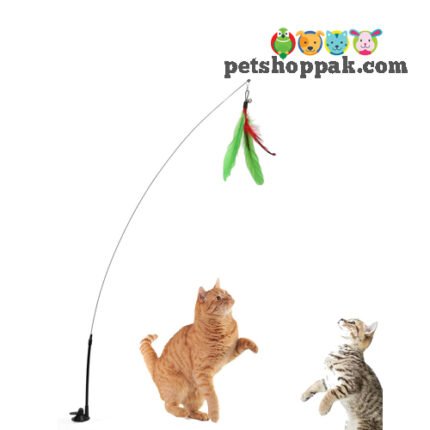 Interactive Suck Cup Teaser Cat toy