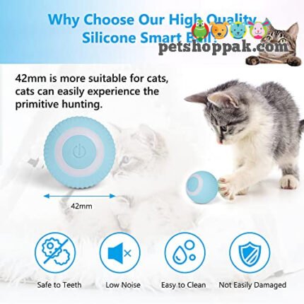 Smart Electric Cat Ball Toy