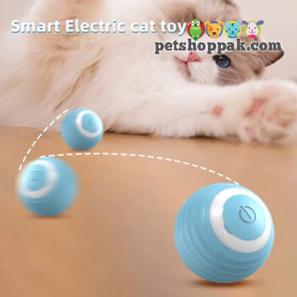Smart Electric Cat Ball Toy