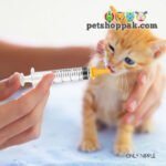 pet feeding silicon nipple