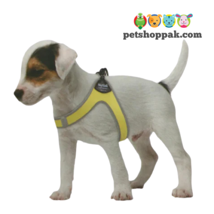 Nunbell Pet Body Harness