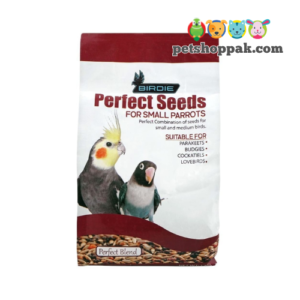 birdie small parrots