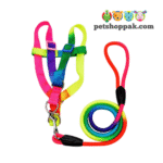 Rainbow Harness & Leash