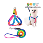 Rainbow Harness & Leash set