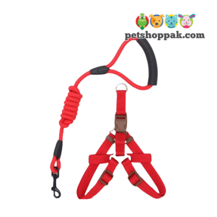 Cat Soft Harness Leash Set